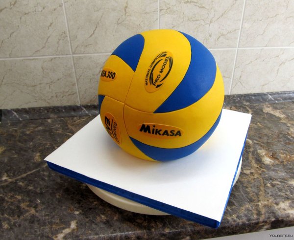 Торт с волейбольным мячом Микаса