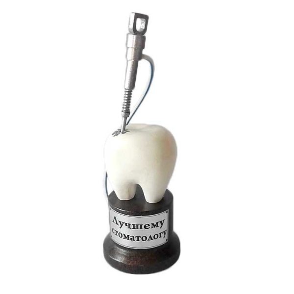 Сувениры для врача стоматолога