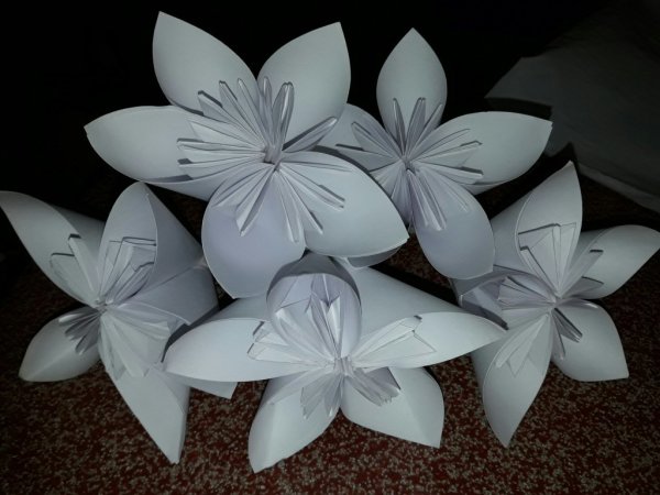 Белые объемные цветы