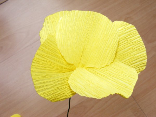 Цветы из гофрированной бумаги