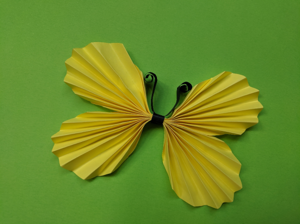 Бабочка из бумажных гармошек