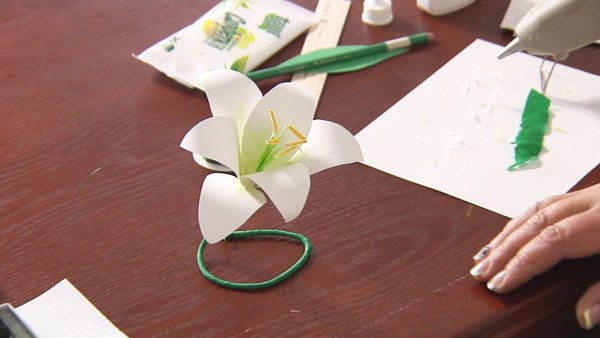 Белый цветок благотворительная акция своими руками из бумаги