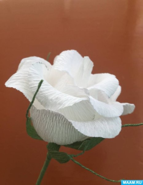 Белые цветы из креповой бумаги