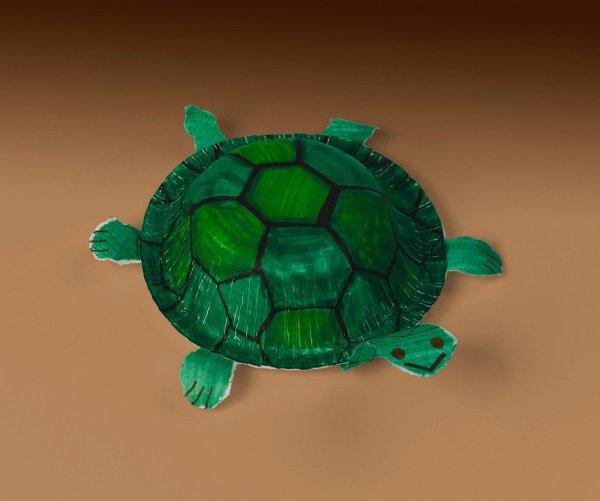 Черепаха из картона