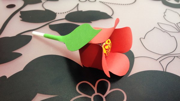 Цветок с Чупа чупсом поделка для детей