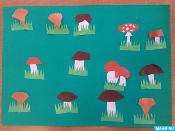 Аппликация тема: «на Лесной полянке выросли грибы» т.с.Комарова