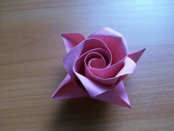 Роза из бумаги