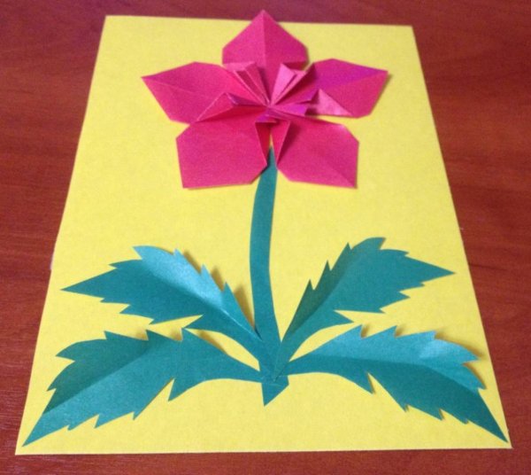 Цветы из картона и цветной бумаги