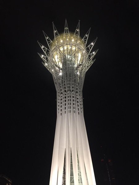 Астана башня Байтерек vector