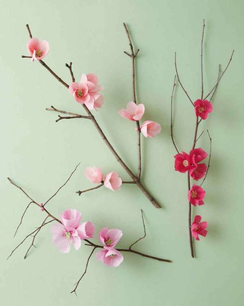Цветы Сакуры из гофрированной бумаги