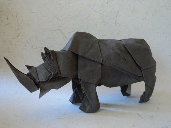 Поделка носорог