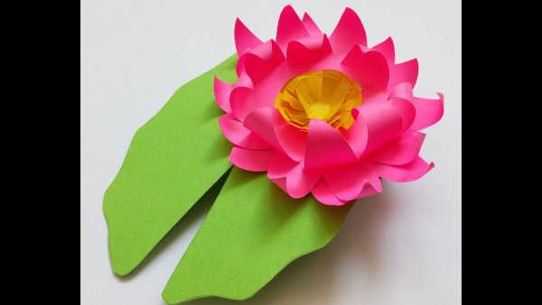 Цветок кувшинка из бумаги