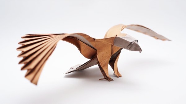 Оригами Jo Nakashima