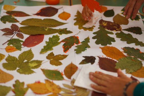 Осенний ковер из листьев поделка