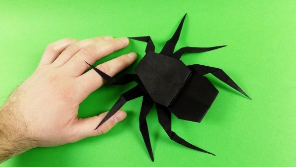 Оригами паук из бумаги