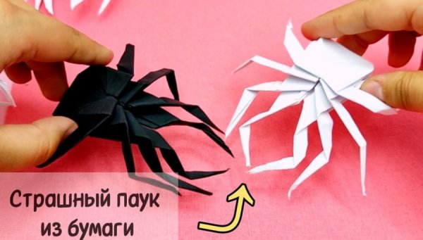 Оригами из бумаги паук схема прыгающий