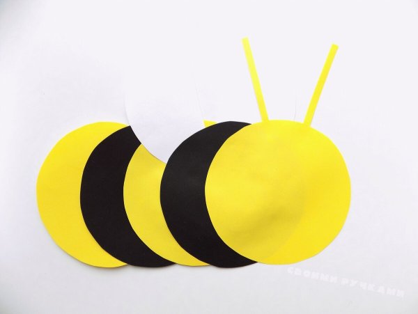 Пчелка из кругов