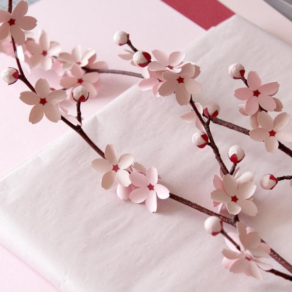 Бумажные цветы Сакура