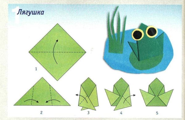 Оригами лягушка в старшей группе детского сада