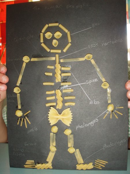 Скелет поделка