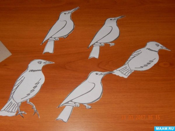 Рисование зимующие птицы средняя группа