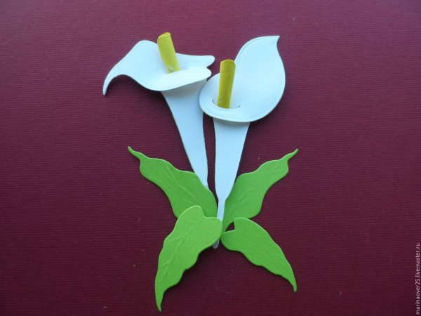 Поделки из бумаги цветы калла