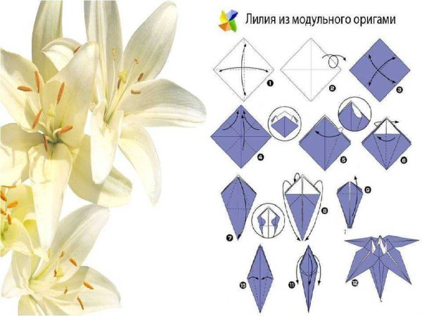 Оригами Лилия схема пошагово