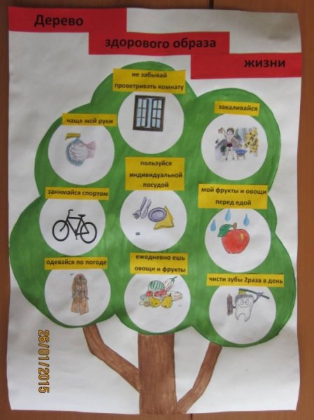 Дерево здоровья для дошкольников