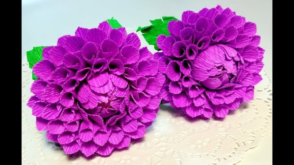 Цветы из гофрированная бумага
