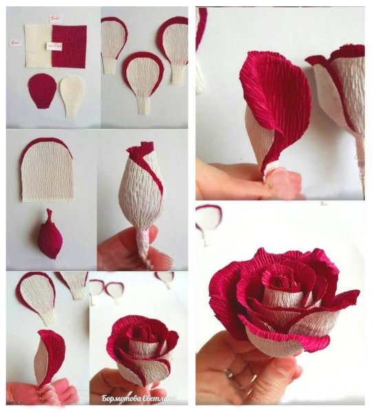 Розы из конфет и гофрированной бумаги своими руками мастер класс