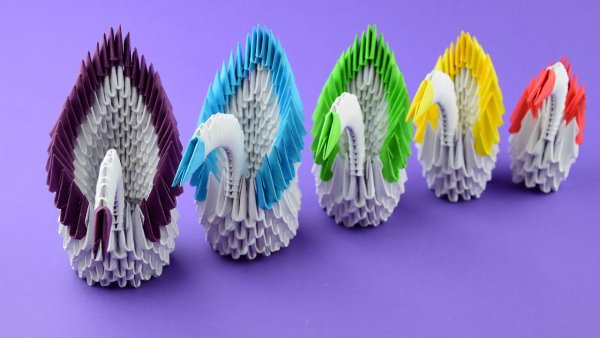 Модульное оригами лебедь
