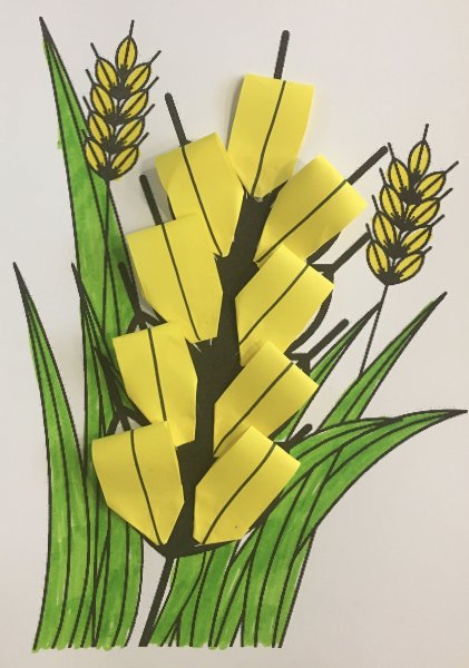 Аппликация колосок пшеницы