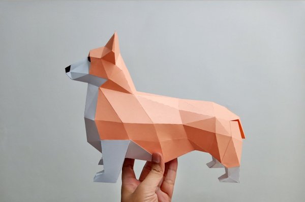 Паперкрафт корги щенок