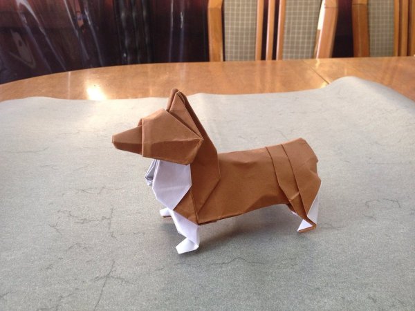 Корги собака оригами