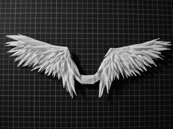 Бумажные Крылья