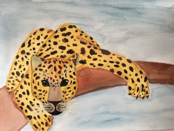 Леопард красками