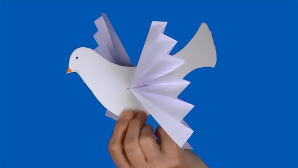 Конструирование из бумаги голубь