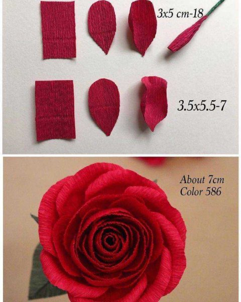 Розы из крепированной бумаги