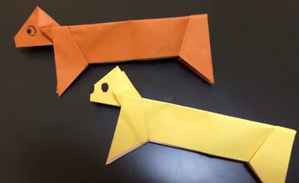 Оригами такса