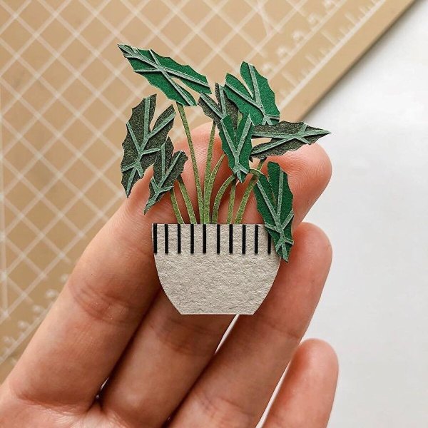 Бумажные растения