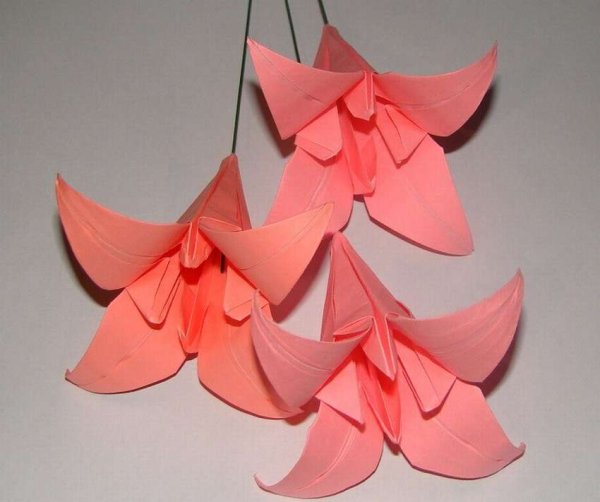 Цветок лилии оригами