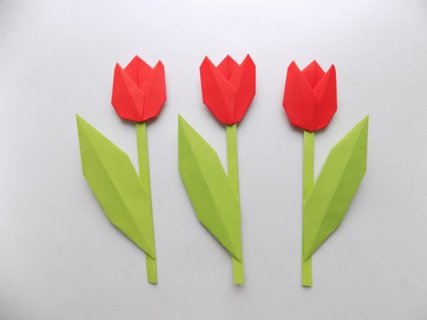 Поделки цветок тюльпан из бумаги