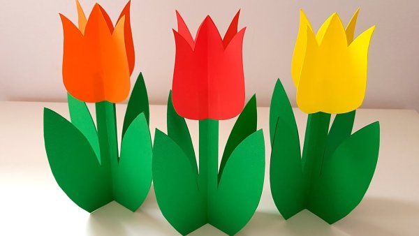 Поделки цветок тюльпан из цветной бумаги