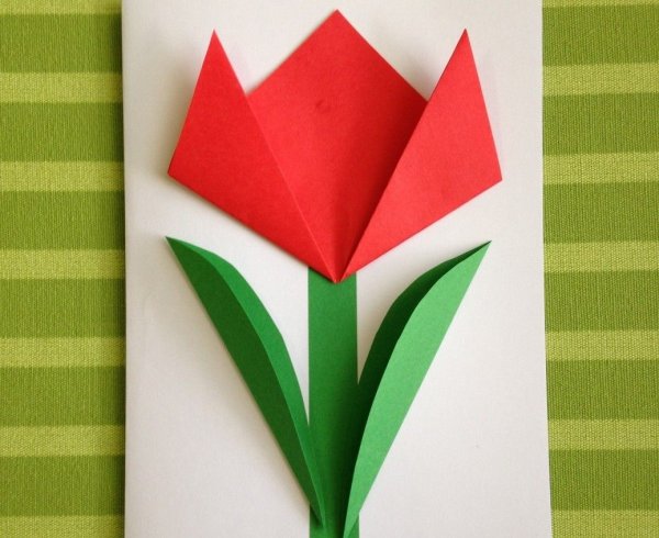 Тюльпан на цветной бумаге