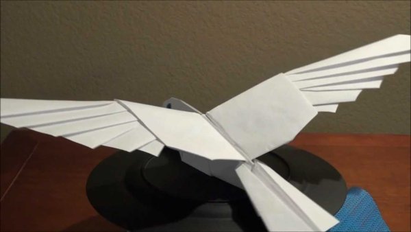 Бумажный самолет птица
