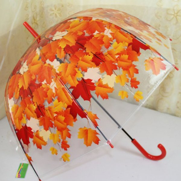 Зонт прозрачный с листьями