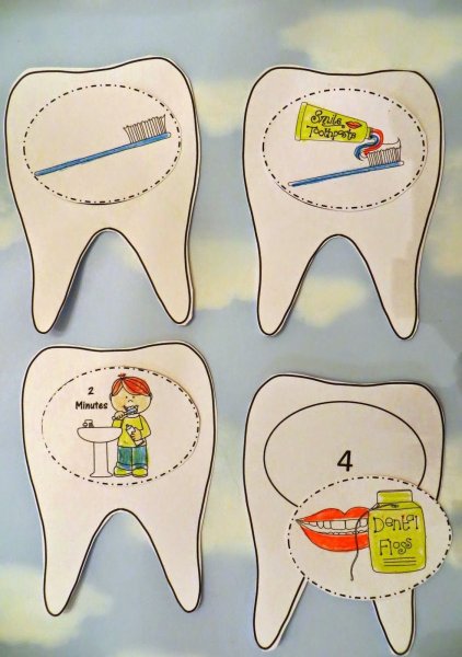 Макет зуба для детей