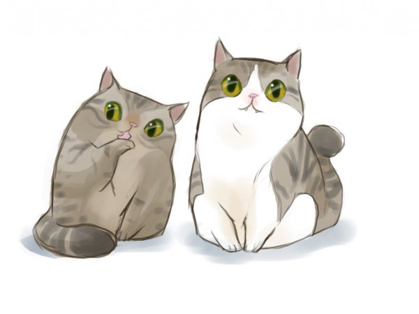 Иллюстрации котов на белом фоне