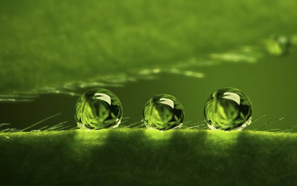Капли воды на зеленом фоне