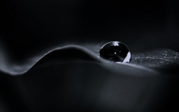 Капля воды на черном фоне